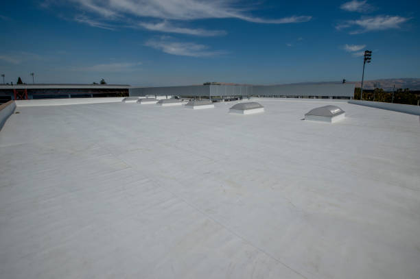 Best Commercial Roofing Services  in Forest City, FL