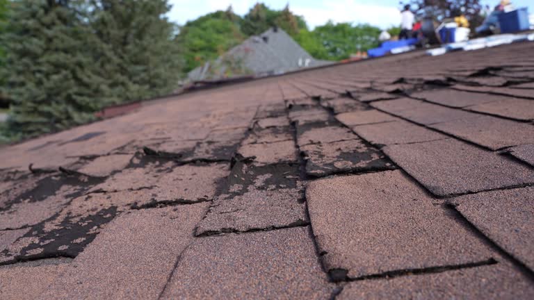 Best Roofing for New Construction  in Forest City, FL