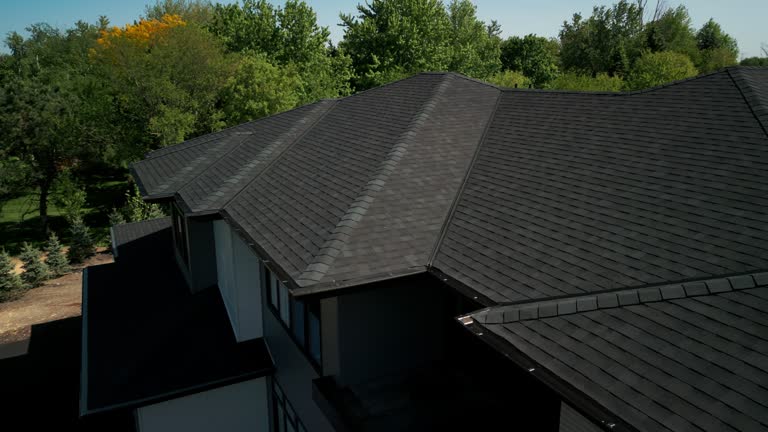 Best Roof Moss and Algae Removal  in Forest City, FL